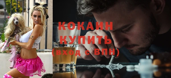 тгк Абаза