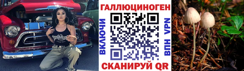 купить   Владимир  Галлюциногенные грибы Magic Shrooms 